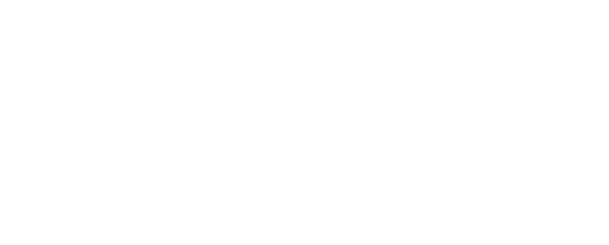 logo-spantadvies-wit